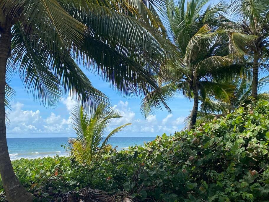 Вилла Ocean Breeze Punta Santiago Экстерьер фото